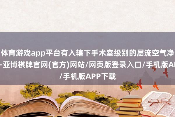 体育游戏app平台有入辖下手术室级别的层流空气净化系统-亚博棋牌官网(官方)网站/网页版登录入口/手机版APP下载