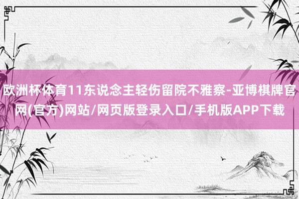 欧洲杯体育11东说念主轻伤留院不雅察-亚博棋牌官网(官方)网站/网页版登录入口/手机版APP下载
