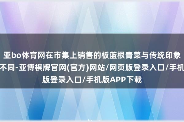 亚bo体育网在市集上销售的板蓝根青菜与传统印象中的板蓝根不同-亚博棋牌官网(官方)网站/网页版登录入口/手机版APP下载