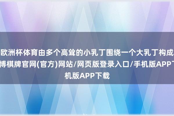 欧洲杯体育由多个高耸的小乳丁围绕一个大乳丁构成-亚博棋牌官网(官方)网站/网页版登录入口/手机版APP下载