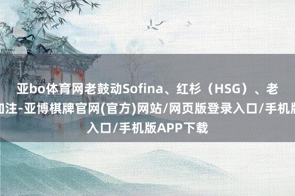 亚bo体育网老鼓动Sofina、红杉（HSG）、老本合手续加注-亚博棋牌官网(官方)网站/网页版登录入口/手机版APP下载