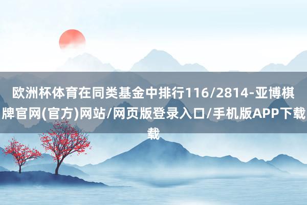 欧洲杯体育在同类基金中排行116/2814-亚博棋牌官网(官方)网站/网页版登录入口/手机版APP下载